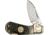 Colt Buckshot Bone Cub Folding Knife, 1.5in, Stainless Blade, Buck Shot Bone Handle CT486