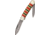 Colt Coral Series Canoe Folding Knife,Spear and Pen Blade, Red/Yellow/Black Striped Composition Handle CT558