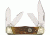 Colt Railsplitter Folding Knife,Clip/Spear/Sheepsfoot/Spey Blade, Stag Bone Handle CT203