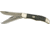 Colt Titanium Series Folding Folding Knife,Titanium Coated Stainless Clip Blade, Black Smooth Bone Handle CT313