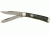 Colt Titanium Series Trapper Folding Knife,Stainless Clip and Spey Blade, Black Smooth Bone Handle CT312