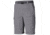 Columbia Silver Ridge Cargo Shorts - Mens, Cool Grey, 30, 10 Inch, 1441701019-30-10