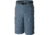 Columbia Silver Ridge Cargo Shorts - Mens, Mountain, 32, 10 Inch, 1441701441-32-10