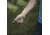Core Equipment 275 Lumen Multi-Color LED Flashlight, Gray, 6.4 x 0.9 x 1.1 in, 40010