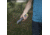Core Equipment 500 Lumen Multi-Color LED Flashlight, Gray, 7.9 x 1.5 x 1.9 in, 40011