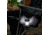 Core Equipment 85 Lumen LED Mini Lantern, Gray, 4.8 x 2.6 in, 40013