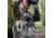 Cotton Carrier CCS G3 Camera Harness For 1 Camera &amp; 1 Binocular, Camo, One Size, 944CAMO