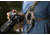 Cotton Carrier Skout G2 Sling Style Harness For Camera, Camo, One Size, 450CAMO
