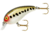 Cotton Cordell Big O Square Lip Crankbait, 2.25in, 1/3 oz, Floating, Baby Bass, C77560