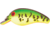 Cotton Cordell Big O Square Lip Crankbait, 2.25in, 1/3 oz, Floating, Fire Tiger, C7769
