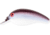 Cotton Cordell Big O Square Lip Crankbait, 2.25in, 1/3 oz, Floating, Super Shad, C7713