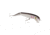 Cotton Cordell Jointed Red Fin, Floating, 5in, 5/8oz, Smokey Joe, CJ911