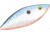Cotton Cordell Super Spot Crankbait, Blue Shiner, 1/2oz, C25362