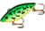 Cotton Cordell Super Spot Crankbait, Fire Tiger, C2469