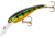 Cotton Cordell Wally Diver Crankbait, 2 1/2in, 1/4 oz, Floating, Gold Perch, CD595