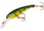 Cotton Cordell Wally Diver Crankbait, 2 1/2in, 1/4 oz, Floating, Perch, CD522