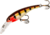 Cotton Cordell Wally Diver Crankbait, 2 1/2in, 1/4 oz, Floating, Special Perch, CD5343