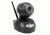 Covert Scouting Cameras iSpy Cam-Black, 1 MP w/ Built In Microphone, 12 IR LED, 5069
