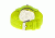 Crayo Cr2002 Festival Watch, Lime CRACR2002