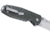 CRKT Squid XM Folding Knife, 2.95in, D2, Drop Point Blade, Green G10 Handle, 2495GR