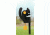 Crosman Resetting Field Target / Squirrel, Black, CSRT