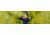 CenterPoint Sentinel Youth Recurve Bow/20lb Draw Weight/Right Handed, Black, ABY215