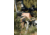 Crosstac Jester Shooting Bag