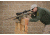 Crosstac LRS Long Range Split Bag / Ultra Light Fill, Multicam, 110081-MC