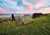 Crua Outdoors Crua Duo Tent For Hiking And Backpacking, Green, DUO-01