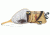 Crystal River Wood Frame Trout Net 139675