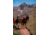 Pack Goats with Panniers