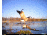 Cuddeback C2 Long Range Video Camera 20 MP Brown