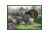 Custom Printed Rugs Rug, Wild Turkey TURKEY