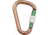 Cypher Helios Hms Screw Gate AC-726KW
