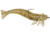 D.O.A. Shrimp Lures
