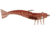 D.O.A. Shrimp Lures