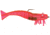D.O.A. Shrimp Lures