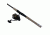 Daiwa BG 2500 Spinning Rod and Reel Combo, 7ft, Medium to Medium Light, 1 Piece, BG2500/701MML