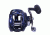 Daiwa Lexa 300 Baitcasting Reel, 5.5-1, 5+1, Left Hand, LEXA-LC300PWRL-P