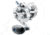 Daiwa Saltiga Single Speed Lever Drag Reel, 6.3-1, 6+1, 15.7oz, SAGLD10H