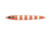 Daiwa Saltiga SL Metal Jig, 2 4/5oz, 4.8in, Full Zebra Orange, SL80G19