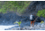 Dakine Mission Fish Pack 40L, Griffin, One Size, D.100.6834.058.OS