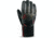 Dakine Team Cobra Glove - Men's-Sean Pettit-Medium