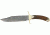 Damascus Bowie Fixed Knife, 11 1/2in, damascus Steel Blade, Stag Handle with brass finger guard and pommel DM1009