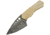 Damascus Fixed Blade Hunter Fixed Blade Knife, 2.75in, Damascus Steel, Standard Edge, White, Bone Handle DM1130