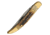 Damascus Toothpick Stag