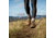 Danner Mountain 600 4.5 In - Womens