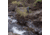 Danner Mountain 600 4.5 In - Womens