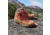 Danner Mountain 600 4.5in Hiking Boot - Mens, Brown/Red, Medium, 7, 62241-D-7