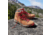 Danner Mountain 600 4.5in Hiking Boot - Mens, Brown/Red, Medium, 7.5, 62241-D-7.5